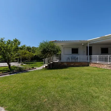 Angelana 팔리라키