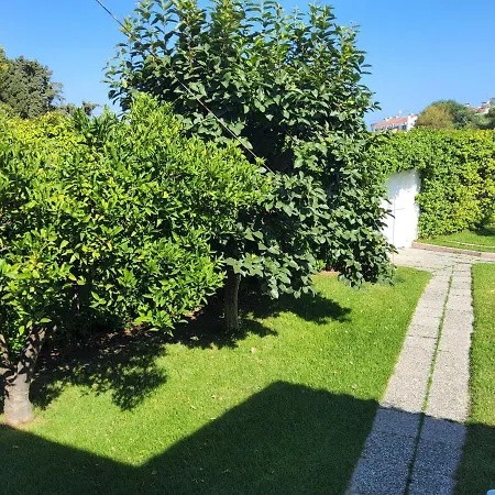 Angelana * ファリラキ