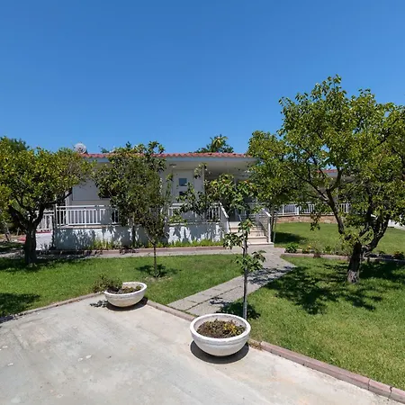 Angelana * 法里拉基