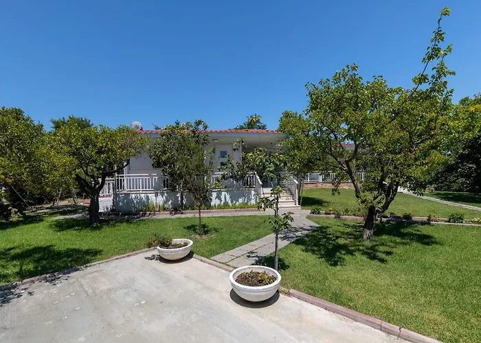 Angelana * 法里拉基