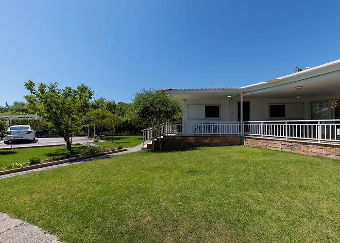 Angelana פליראקי